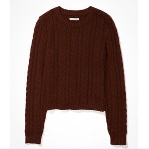 🛍️NWT American Eagle Brown Cable knit cropped Sweater.